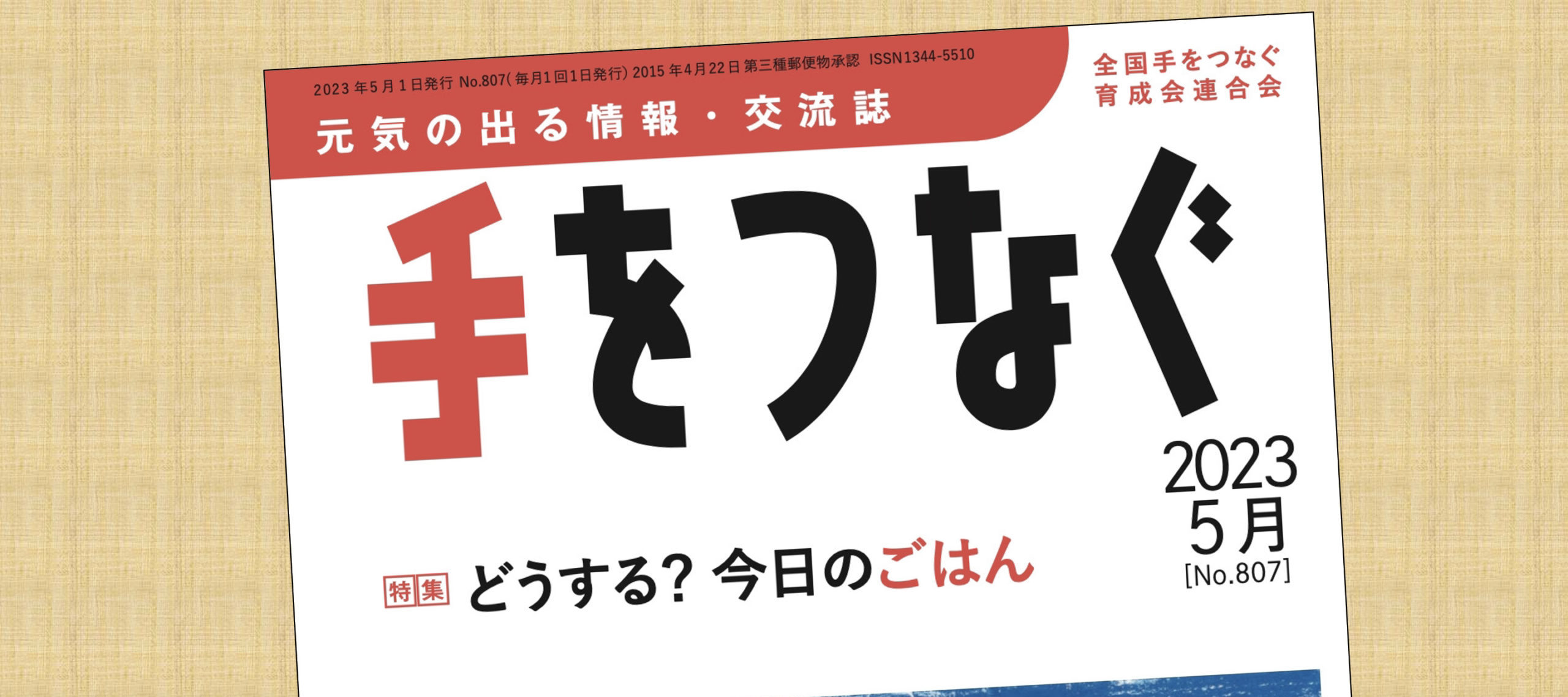 機関誌手をつなぐ：最新号
